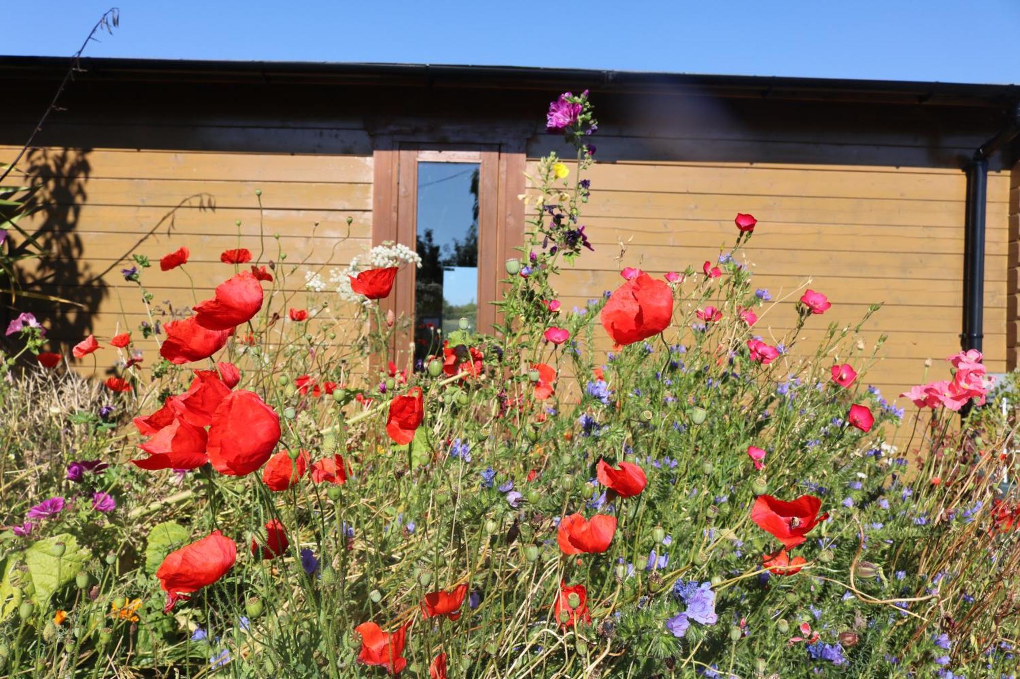 The Cabin Pipershill Newtownbutler Exterior photo